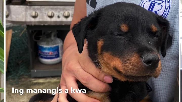 Ing manangis a kwa