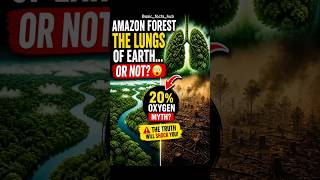 Is amazon really Earth's Lungs? shocking truth Inside! | Facts in english