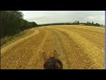 Yay! stubble fields are back says Farouk (our Arabian horse) 🏇🏼