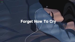 Narrowhaven - Forgot How To Cry - Song Lyrics