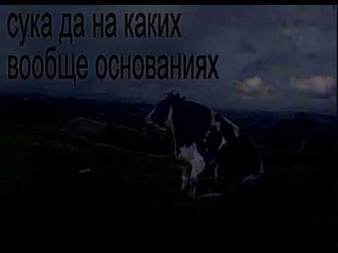 CMH - АЙМ СОРРИ