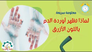 لماذا تظهر أوردة الدم باللون الأزرق- معلومة سريعة- علوم بالعربية