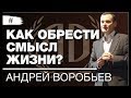 Андрей Воробьев: «Как обрести смысл жизни?» Часть 1