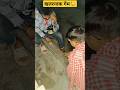 खतरनाक गेम | funny videos 😂#shorts #funny #comedy