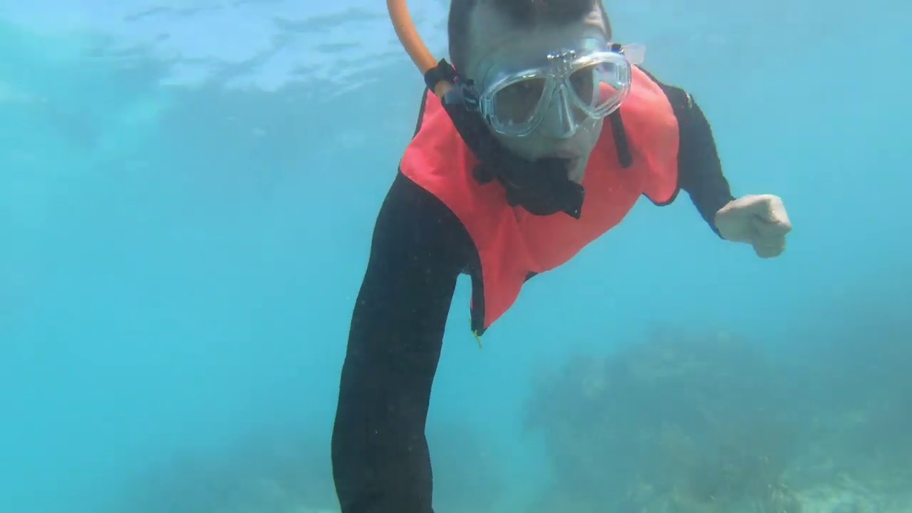Florida Keys Snorkeling at Dry Tortugas & John Pennekamp Coral Reef