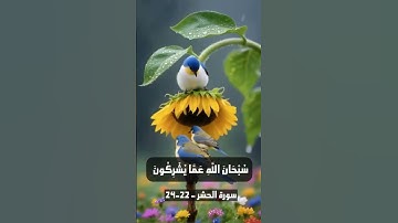 يسبح له ما في السماوات والأرض | تلاوة سورة الحشر (22-24) للشيخ ياسر سلامة