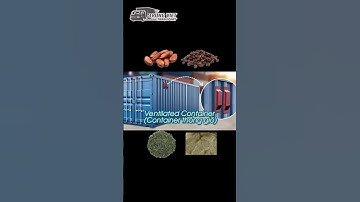 🚢 CÁC LOẠI CONTAINER PHỔ BIẾN TRONG LOGISTICS – BẠN BIẾT HẾT CHƯA?