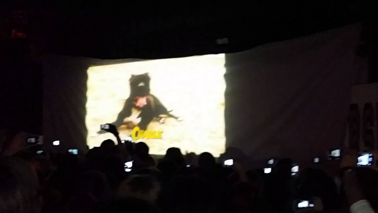 Opening Falling In reverse Bury the Hatchet WA