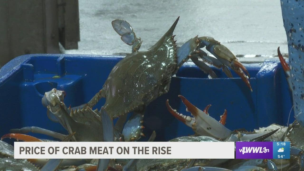 Crab meat prices make some of your favorite dishes costly YouTube