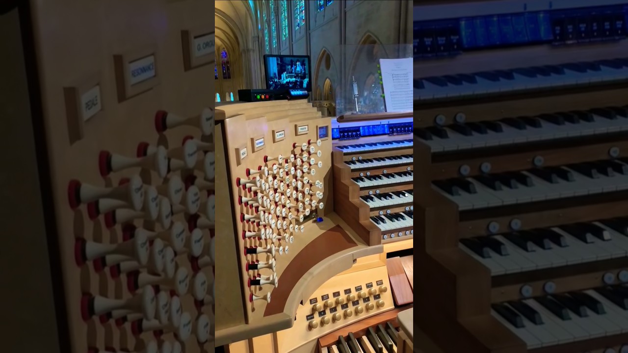 Largest Organ 🎹🤍🪽...