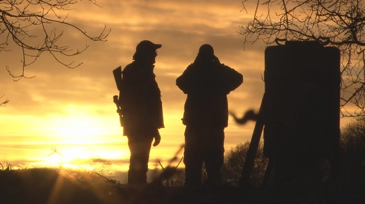 Fieldsports Britain - Night vision, quick duck and the Browning B725