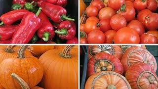 Early Autumn Harvest