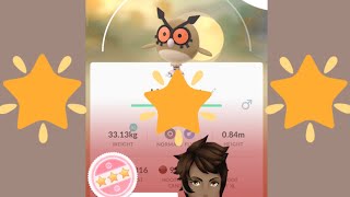 it's 100% OWL🦉| PERFECT 💯 HOOTHOOT CAUGHT  #100 #CAPTAIN #POKEMONGO #PERFECT #SHORTS