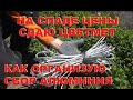 Как организую сбор алюминия. На спаде цены сдаю цветмет.