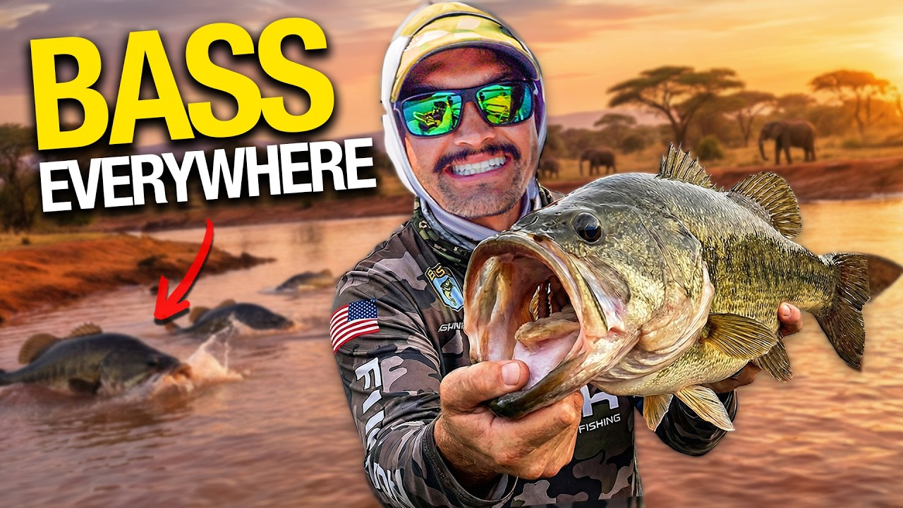 We Found an INSANE Topwater Bite in Africa! (25+ Bass on Frogs)