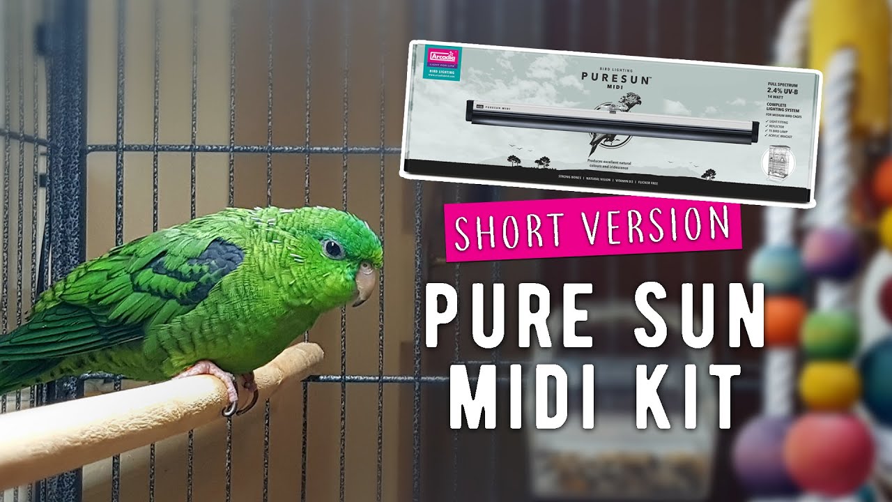 Arcadia Bird PureSun-Mini, The Very Latest in Bird Lighting technology.