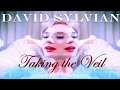 Miniature de la vidéo de la chanson Taking The Veil (Remix)