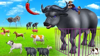 Funny Magic Buffalo Attacks Animals in the Farm | Cow Horse Sheep Hen Donald's Farm Animals Cartoons