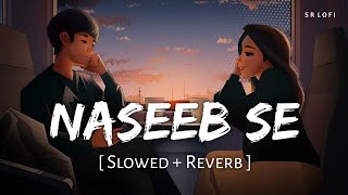 Naseeb Se (Slowed + Reverb) | Payal Dev, Vishal Mishra | Satyaprem Ki Katha | SR Lofi
