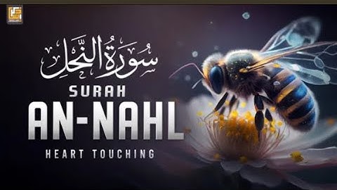 Surah An Nahl ( سورة النحل ) Relaxing HeartTouching Marvelous Quran | Abdullah Imran