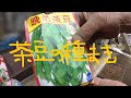 家庭菜園　茶豆の種まき　枝豆より少し遅いです。