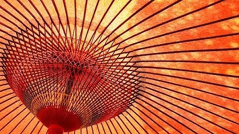 Japanese Universities-Webinar-Tsukuba University