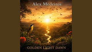 GOLDEN LIGHT DAWN