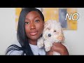 I REGRET MY DECISION... | SHOULD YOU GET A DOG