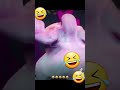 وردة شارلمونتي ويعطيه