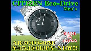 CITIZEN MEN'S Eco-Drive AR3010-65E