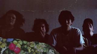 希少 直筆サイン入り LP Twin Peaks - Wild Onion Twin Peaks - Wild Onion (Vinyl) | Fat Possum Records