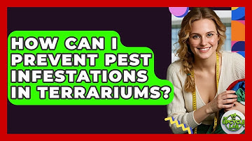 How Can I Prevent Pest Infestations In Terrariums? - The Upcycle Lab