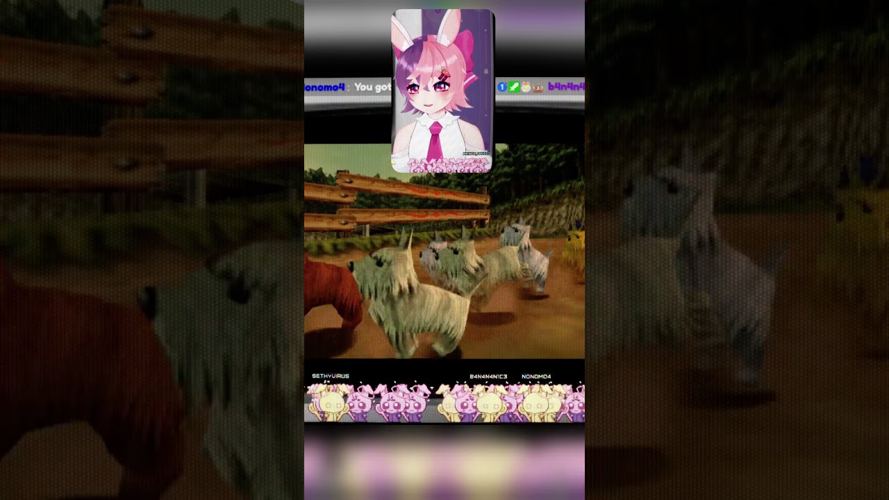 UMA MUSUME? MORE LIKE INU MUSUME