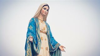 Месяц Пресвятой Девы Марии. Слово на сегодня