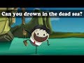 Buoyancy - Can you drown in the dead sea? | #aumsum #kids #science #education #children