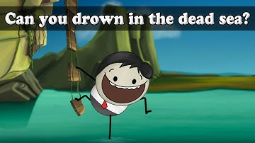 Buoyancy - Can you drown in the dead sea? | #aumsum #kids #science #education #children