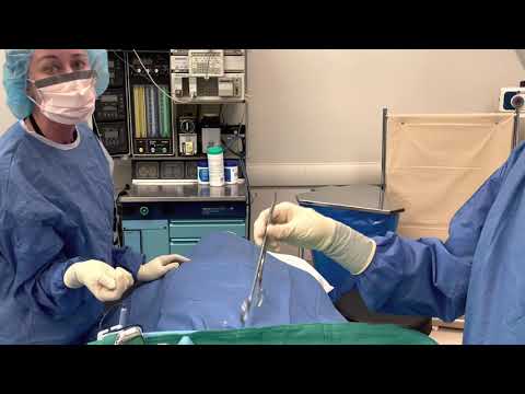 Basic Surgical Instrument Passing (part 1 of