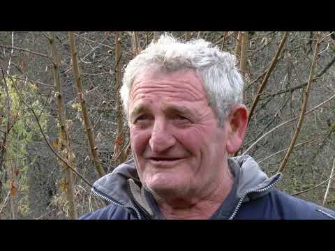 აგრომობილი - რაჭა და სამეგრელო