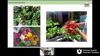 Reaching New Heights with Rooftop Farming (Online Lecture)