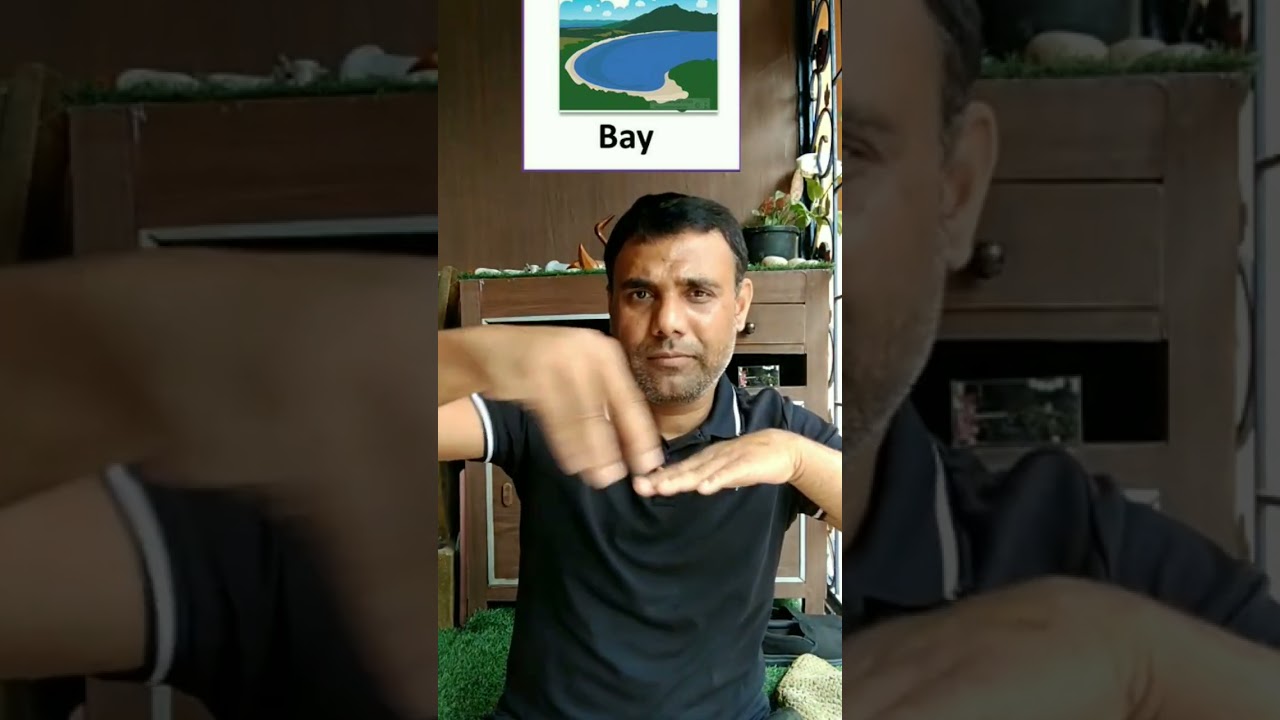 Bay Natural vocabulary 