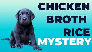 Chicken Broth with rice I Rocky the Rottador Puppy I Labrottie