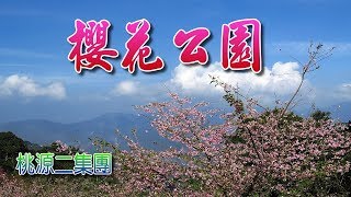 高雄桃源二集團。櫻花公園