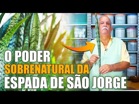 O PODER SOBRENATURAL DA ESPADA DE SÃO JORGE: VEJA COMO ABRIR OS PORTAIS ETÉREOS DE SUA ALMA E VIDA