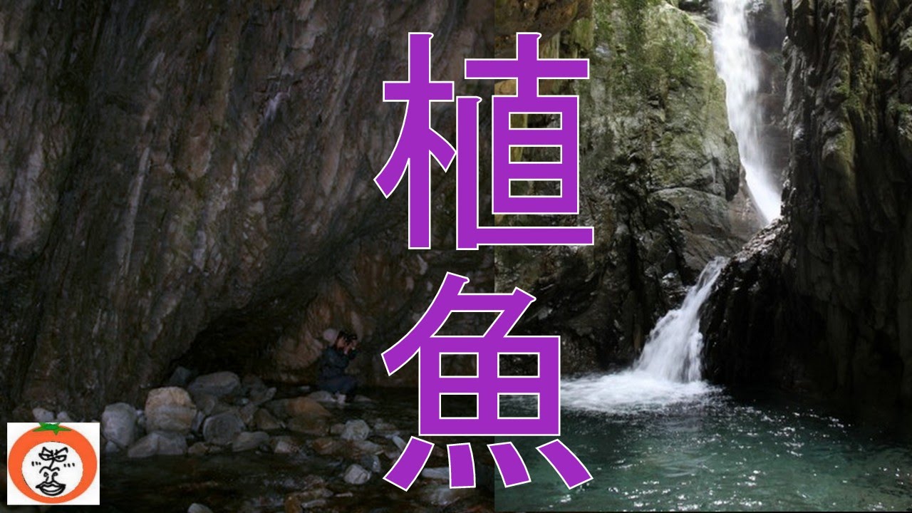 植魚の滝 へ行こう うろうろ和歌山 Travel To Japan 和歌山県 東牟婁郡 古座川町 Wakayama Tourism Clips Youtube