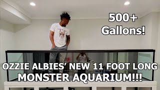 INSTALLING A 11 FOOT LONG MONSTER AQUARIUM FOR OZZIE ALBIES!!! OVER 500 GALLONS!! - PREMIER AQUATICS