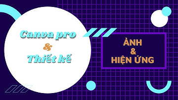 Canva Pro Video 3 - Các Tính Năng Và Hiệu Ứng Ảnh Trong Canva Pro | Doan Nguyen