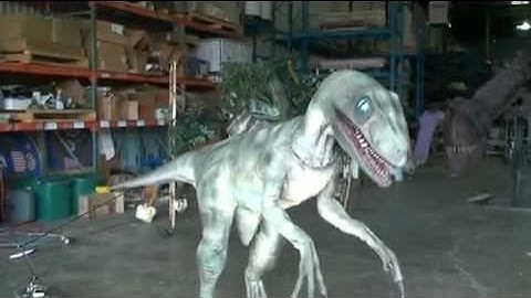 HAUNTEDPROPS.COM  HPDINO300 - Velociraptor on Stand
