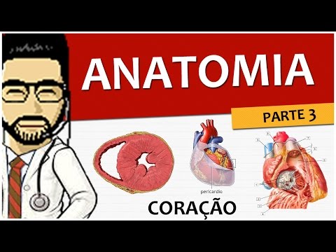 Vídeo: Diferença Entre átrio Direito E Esquerdo