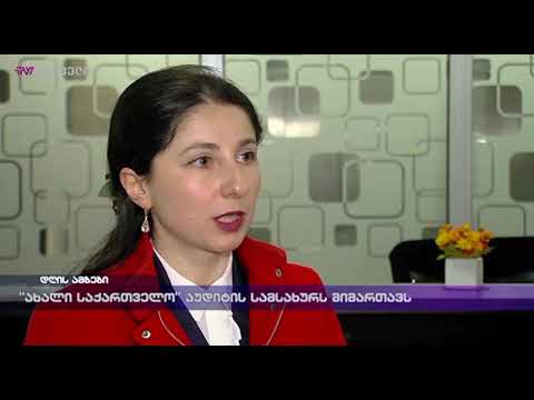 \"ახალი საქართველო\" აუდიტის სამსახურს მიმართავს