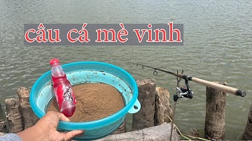 ĐÃ ĐẾN MÙA CÂU CÁ MÈ VINH CÁ MÈ DÃNH TRÊN SÔNG